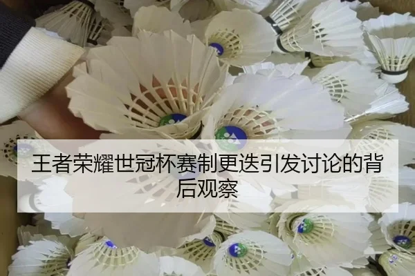 王者荣耀世冠杯赛制更迭引发讨论的背后观察（xingkong）